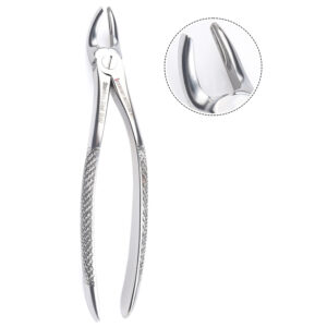 Tooth Extracting Forceps