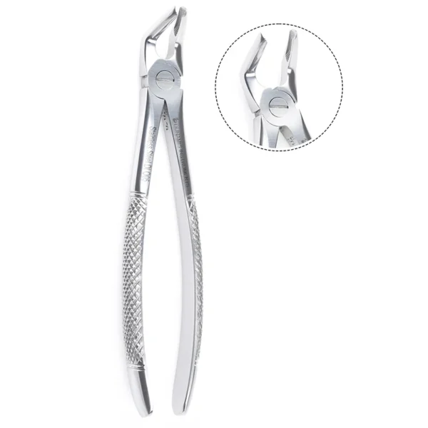 Dental Tooth Extracting Forceps Fig 8 Lower Premolars