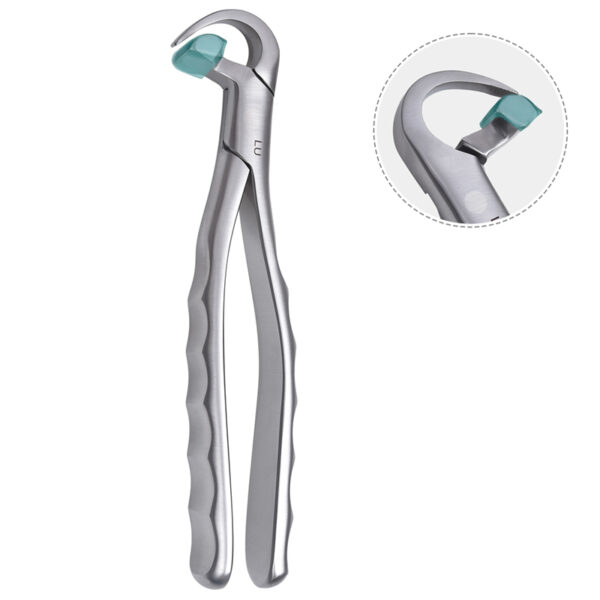 Physics Forceps Lower Universal