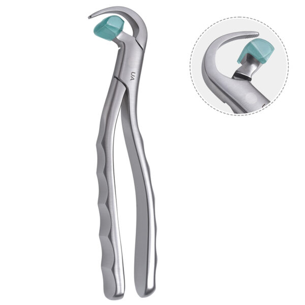 Physics Forceps Upper Anterior
