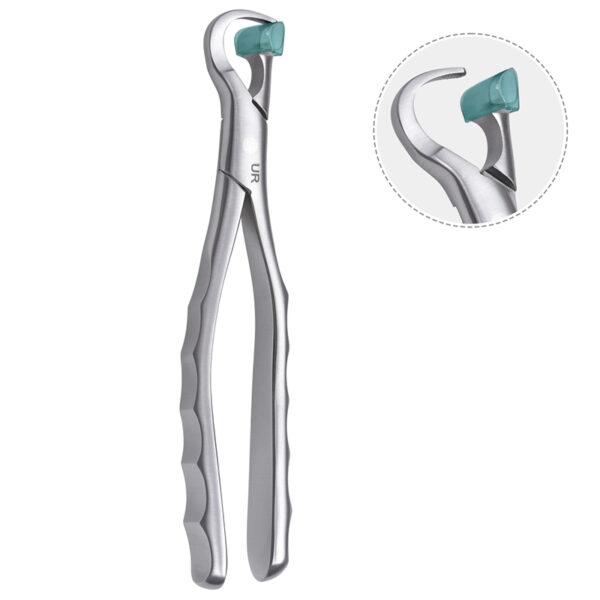 Physics Forceps Upper Right